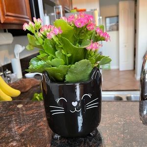 Black Cat 🐈‍⬛ Planter Pot